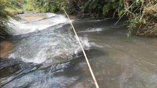 NUNCA DUVIDE DE UM RIO COM MUITAS CORREDEIRAS EM UMA PESCA!!!!