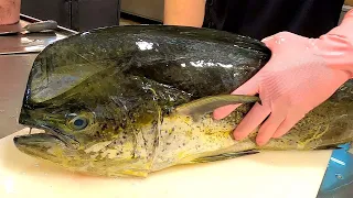 Monster Dolphin Fish鬼頭刀(  MAHI MAHI FISH)   - Taiwanese Street Food