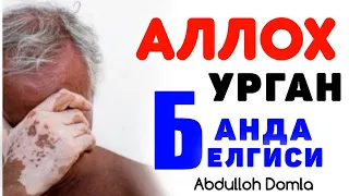 Аллох урган бандани белгиси! ~Абдуллох Домла 2023~Abdulloh Domla 2023 #abdullohdomla #namoz