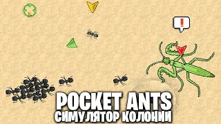 День Богомолов и 50 Феромонов - Pocket Ants: Симулятор Колонии