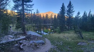 Hiking Mt Dana Yosemite National Park July 2022