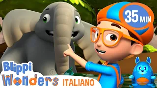 Elefanti | Blippi Wonders in Italiano | Video educativi per bambini