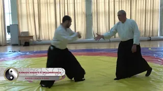 Aikido 2022