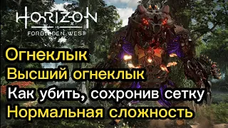 Horizon F/W | Огнеклык | Высший огнеклык | Как убить, сохронив сетку