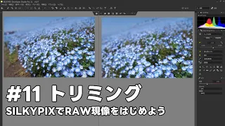 SILKYPIXでRAW現像をはじめよう #11 トリミング