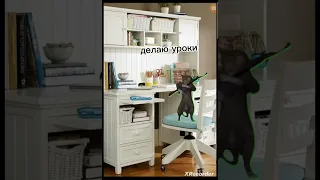 пов 1 день моей жизни мемные коты🤣