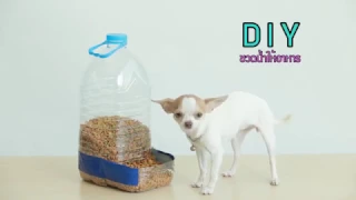 D.I.Y Dog Feeder ขวดน้ำใสให้อาหาร ทำง่ายใน 5 นาที