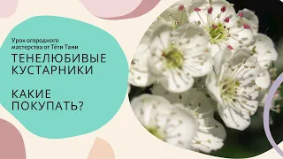 532. Что посадить туда, где ничего не хочет расти?