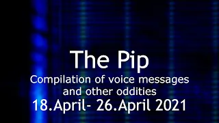 The Pip Compilation 18.April - 26.April 2021