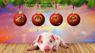 Новый 2019 год. Как встречать? В чем встречать? Что готовить что нас ждет