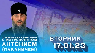 Толкование Евангелия с митр. Антонием (Паканичем). Вторник, 17 января 2023 года.