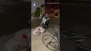 Woman Removes Opossum From Brooklyn Bar