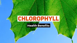 Chlorophyll Benefits for Health | Thea health benefits of Chlorophyll |  liquid chlorophyll benefits