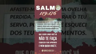 🍂📖Salmo 119:176 - Final 🧠💭 Que o quão longe você vá não te faça esquecer...