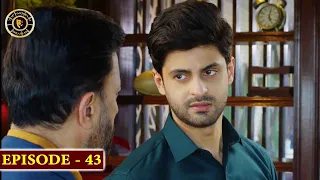 Woh Pagal Si Episode 43 - Top Pakistani Drama