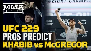 UFC 229: Pros Predict Khabib Nurmagomedov vs. Conor McGregor - MMA Fighting