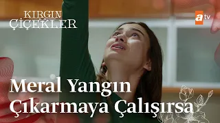 Meral yangın çıkarmaya çalışırsa...🔥 | Kırgın Çiçekler Mix Sahneler