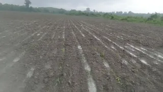 Oğuz rayonu mollali kend meşelerini Abid qeribov kürüderek sahelere cevrib