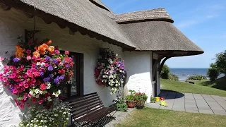 Summer at The Cottages Ireland