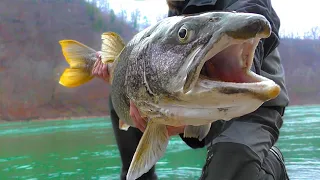 FLOAT FISHING for Massive TROUT at the NIAGARA RIVER