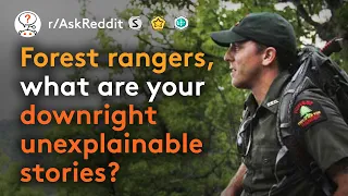 Forest Rangers Share Their Most Unexplainable Stories (r/AskReddit)