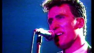 Veronica Rock Night Orchestral Manoeuvres in the Dark (O.M.D.)