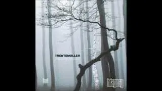 Trentemøller - Nightwalker [The Last Resort]