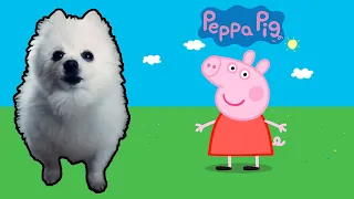 Peppa Pig em cachorrês | NOSTALGIA