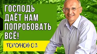 Господь даёт нам попробовать всё! Торсунов лекции