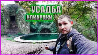 ЗАБРОШЫНАЯ УСАДБА |  КОКАРАКИ   заброшенный бассейн В ЛЕСУ