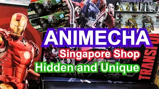 AniMecha the shop to buy Transformers Model kits in Singapore 🇸🇬