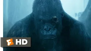 The Legend of Tarzan (2016) - Rescuing Akut Scene (6/9) | Movieclips