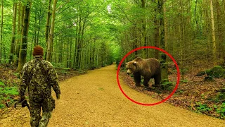 6 Bear Encounters Caught On Camera - Don't Let This Happen To You