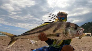 BIG Fish caught off the beach. (New Personal Best) // Costa Rica