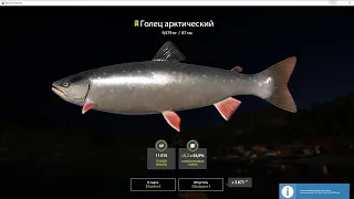 Троллинг на озере куори в игре Russian Fishing 4