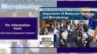 Graduate Program in the Department of Molecular Genetics and Microbiology