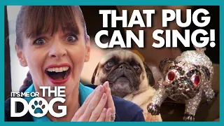 Victoria Shocked by Bizarre High Society 'Dog Party' | It's Me or The Dog