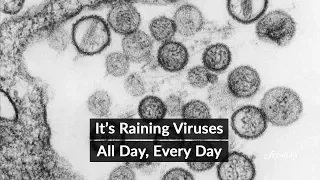 Viruses are falling from the sky - in their billions