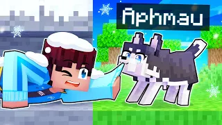 Playing As A BRAVE Husky In Minecraft!