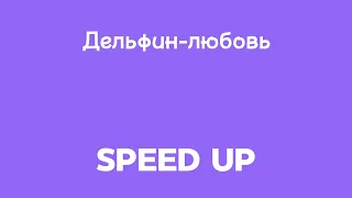 дельфин-любовь speed up
