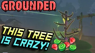 The Best Part of the New Grounded Update | How To Unlock the Christmas Tree In Grounded New Update