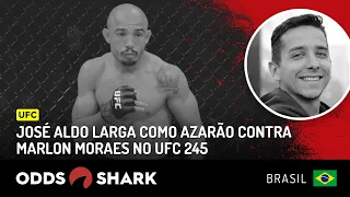 José Aldo larga como azarão contra Marlon Moraes no UFC 245