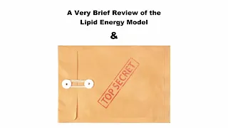 Dave Feldman - 'A Very Brief Review of the Lipid Energy Model & TOP SECRET'