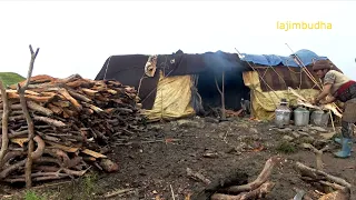 the pastoral life || chapter-38 || Nepal🇳🇵|| lajimbudha ||