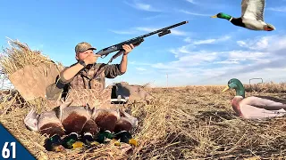 THOUSANDS of MALLARDS Above Us! (Limited Out) | Duck Hunting Out of Layout Blinds