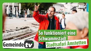 Was ist eine Schwammstadt? - Die Hauptplatz Safari in Amstetten klärt auf