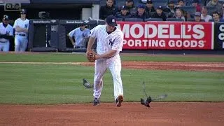NYM@NYY: Pigeons enjoy game, Headley chases them off