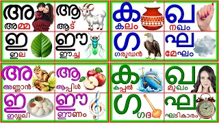 മലയാളം അക്ഷരമാല സ്വരാക്ഷരങ്ങളും വ്യഞ്ജനാക്ഷരങ്ങളും /malayalam alphabet vowels and consonants
