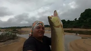 Arowana Fishing Camping and Cooking (day 2)