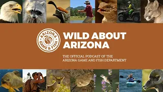Wildlife Connectivity Update for Arizona